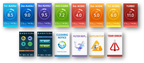 Tyent ACE-13 screen icons showing alkaline, acidic, H2O clean, turbo, filter, cleaning and error modes
